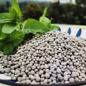 Single superphosphate(TSP)