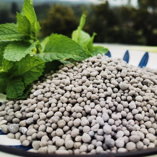 Single superphosphate(TSP)